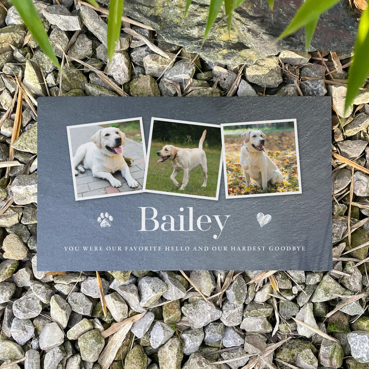 Pet Bereavement | Pet Memorials