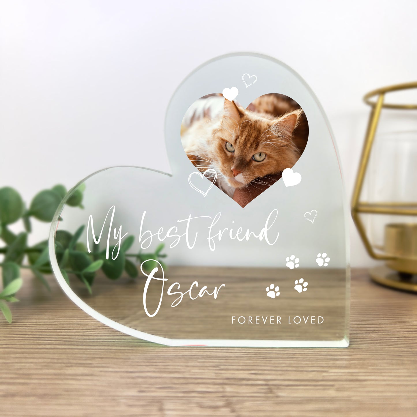 Personalised Pet Photo Acrylic Freestanding Heart