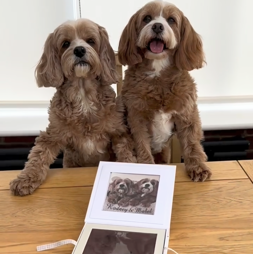 Oh So Precious Paw Pad Impression Keepsake
