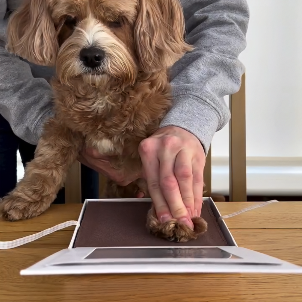 Oh So Precious Paw Pad Impression Keepsake