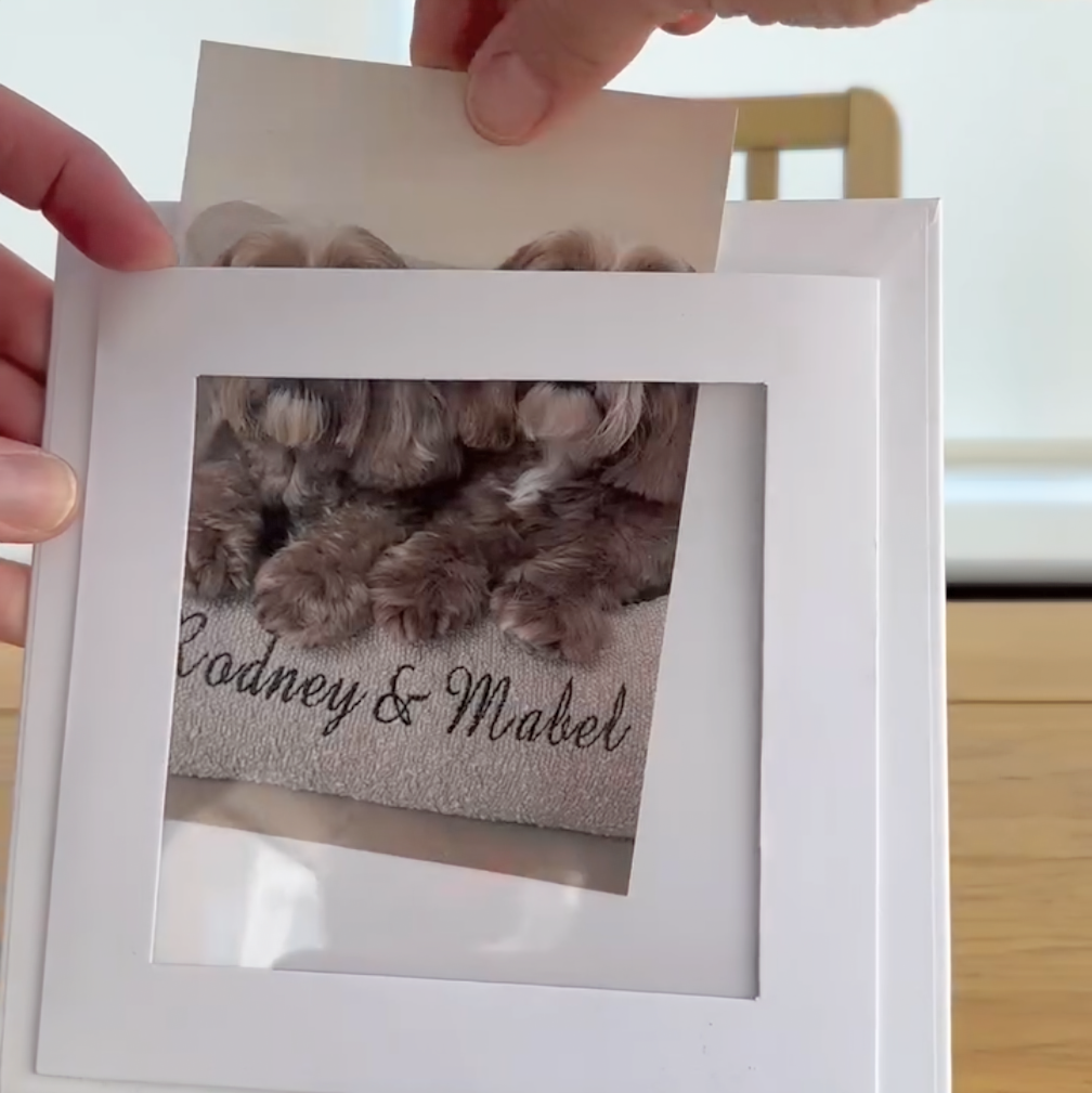 Oh So Precious Paw Pad Impression Keepsake