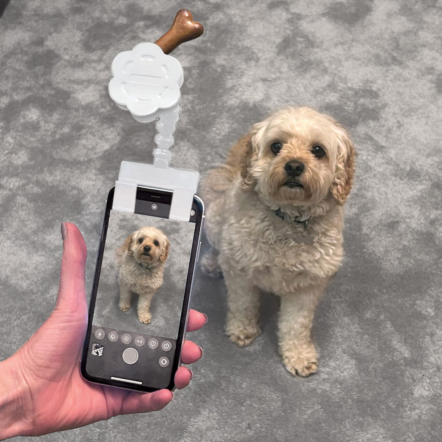 Pawtrait Phone Clip