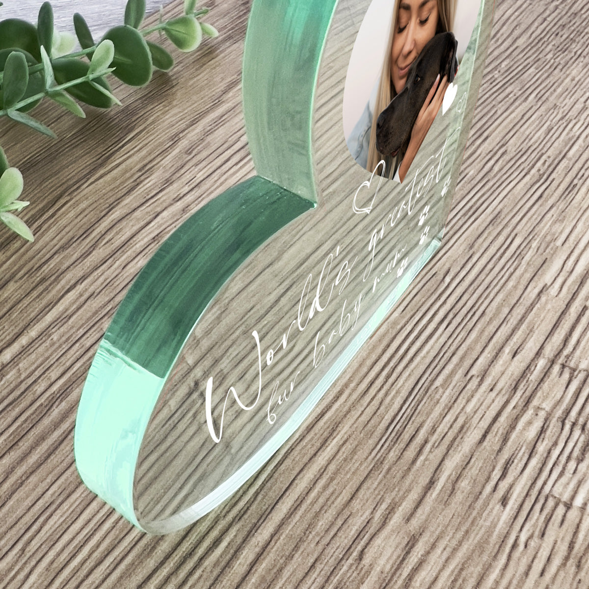 Personalised Pet Photo Acrylic Freestanding Heart