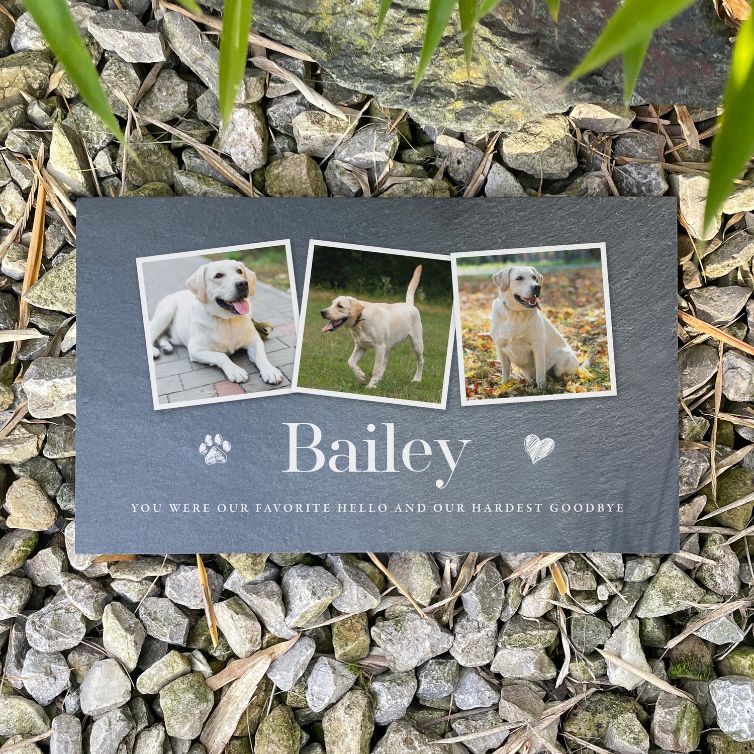 Pet Bereavement | Pet Memorials