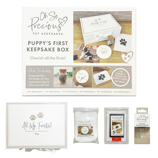 You Leave Paw Prints on My Heart - “No Mess” Ink-less Paw Print Keepsakes -  DEAL 50% OFF! in 2023