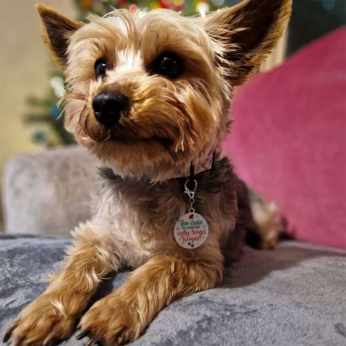 Christmas Keepsake Dog Tag