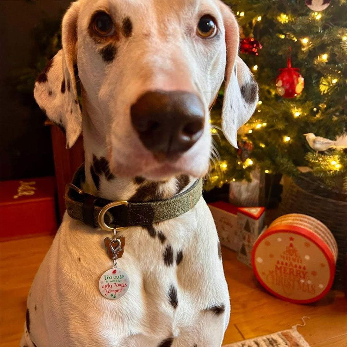 Christmas Keepsake Dog Tag