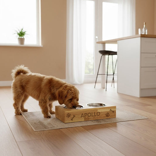 Personalised Bamboo Raised Double Dog Bowl