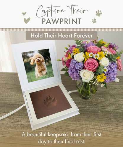 Oh So Precious Paw Pad Impression Keepsake
