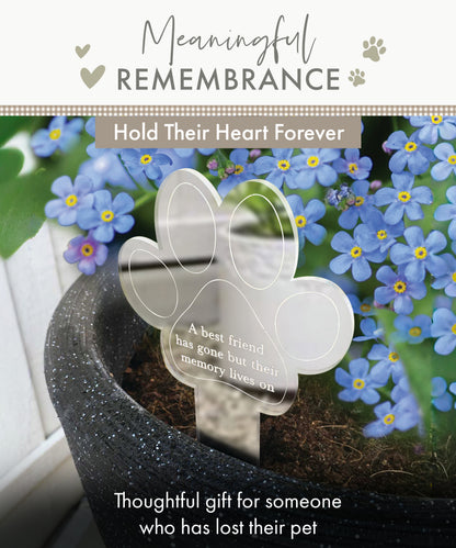 Paw Print Memorial Garden Planter & Forget Me Not Seeds
