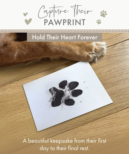 Pet Safe Non-toxic Paw Print Ink Pad Kit