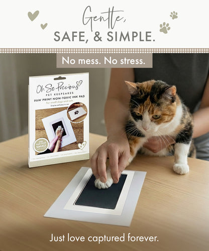 Pet Safe Non-toxic Paw Print Ink Pad Kit