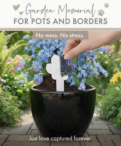 Paw Print Memorial Garden Planter & Forget Me Not Seeds