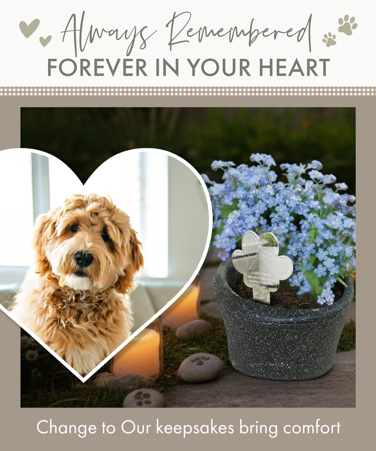 Paw Print Memorial Garden Planter & Forget Me Not Seeds