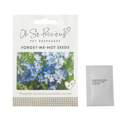 Forget-Me-Not-Seeds