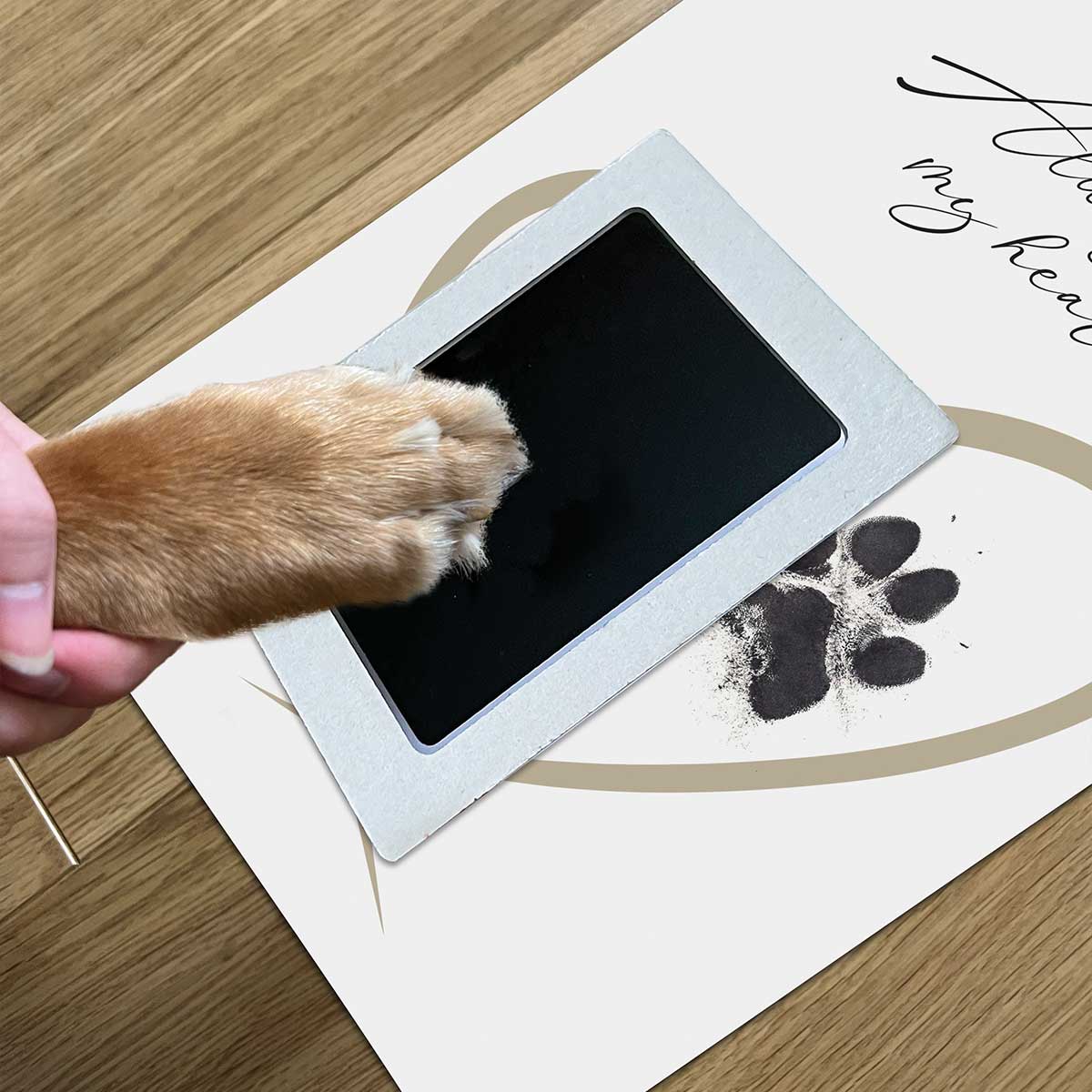 Framed Paw Print Kit Pet Paw Print Framed Kit Oh So Precious