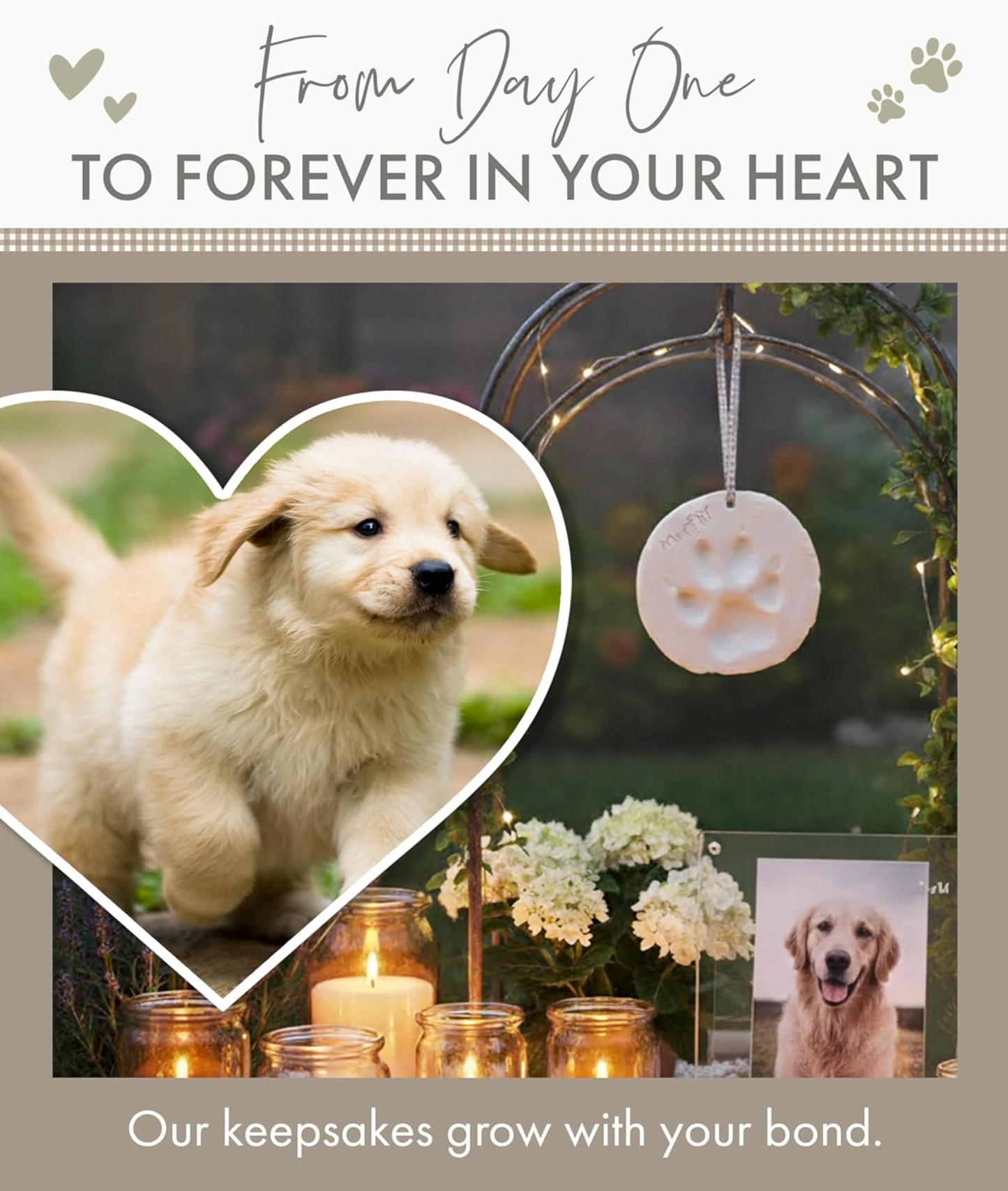 Clay Pet Paw Print Impression Moulding Kit