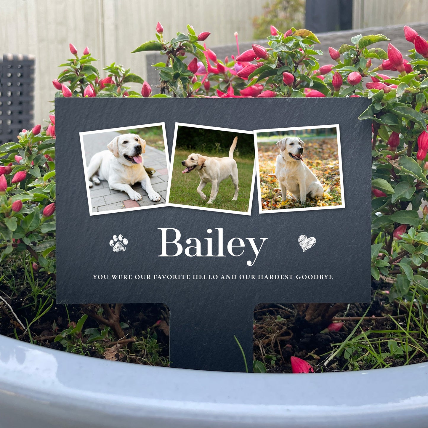 Personalised Large Pet Photo Memorial Slate Plant Marker