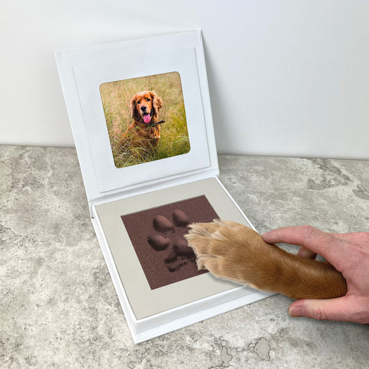 Oh So Precious Paw Pad Impression Keepsake