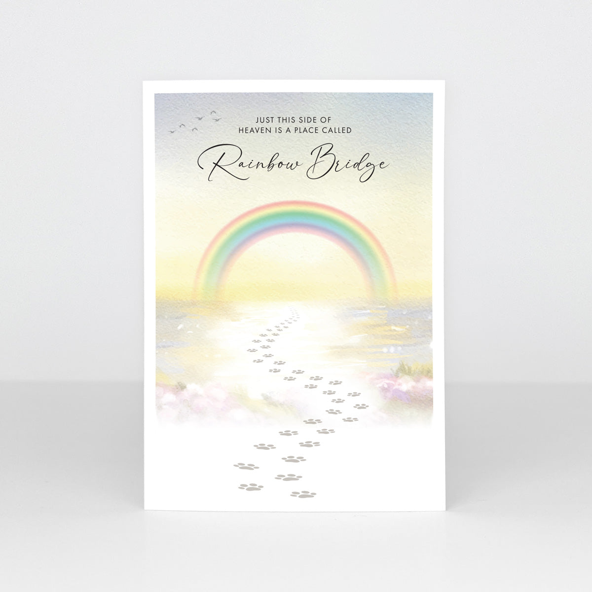 A6 Sympathy Cards - Rainbow Bridge (Pack of 20)