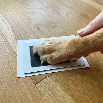 Personalised Family (inc. Pets) Fingerprint Framed Print + Ink Pads